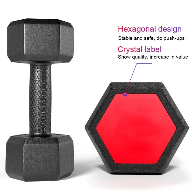 10KG  Household Glue Fitness Hexagon Dumbbells