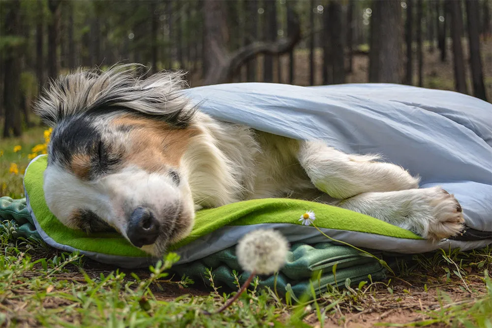 Alcott Explorer Dog Sleeping Bag