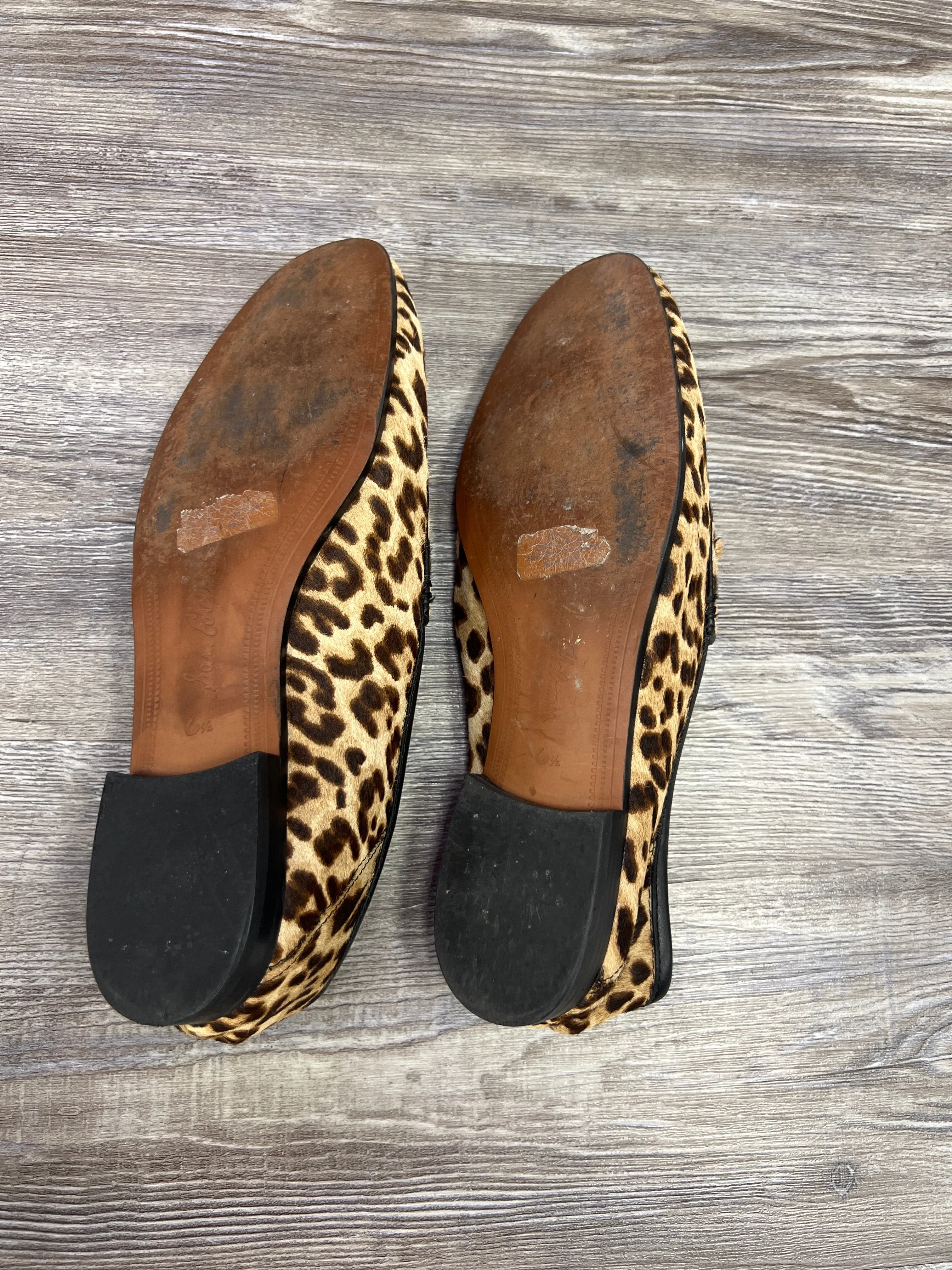 Animal Print Shoes Designer Sam Edelman, Size 6.5