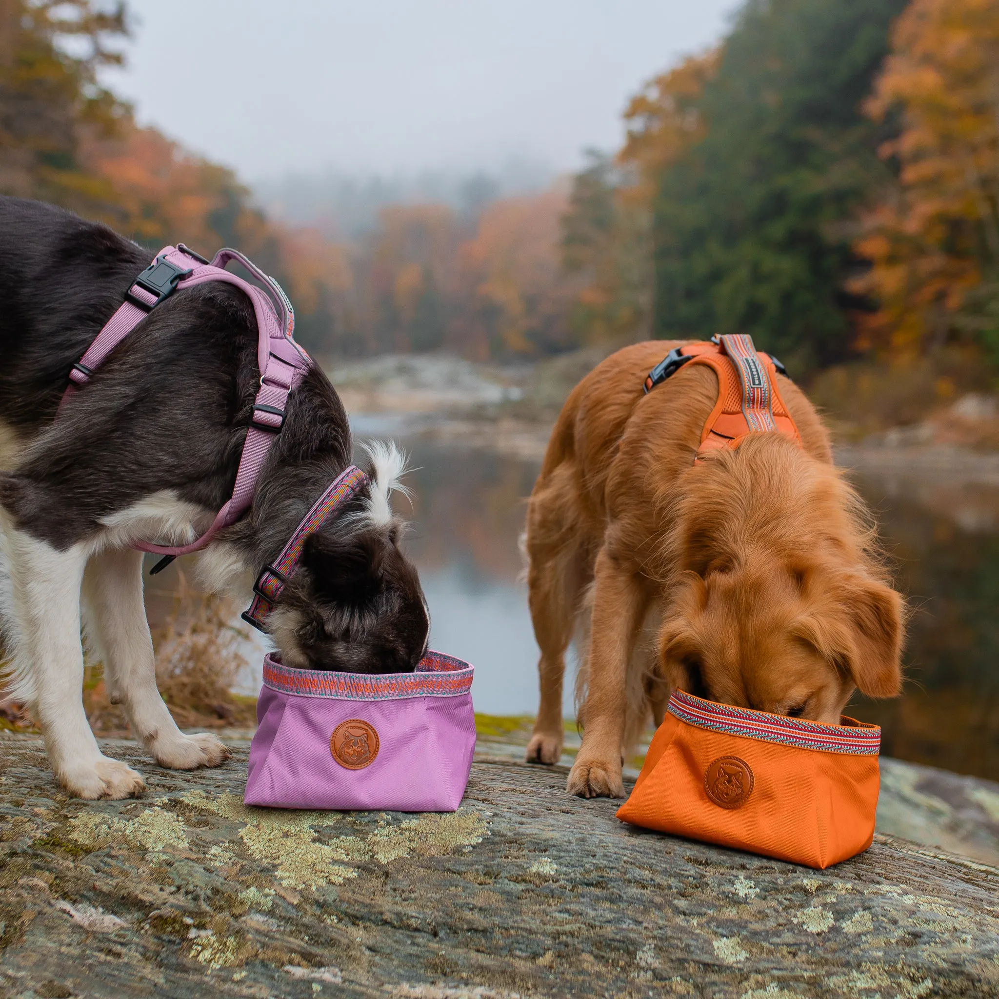 Backpacking Bowl