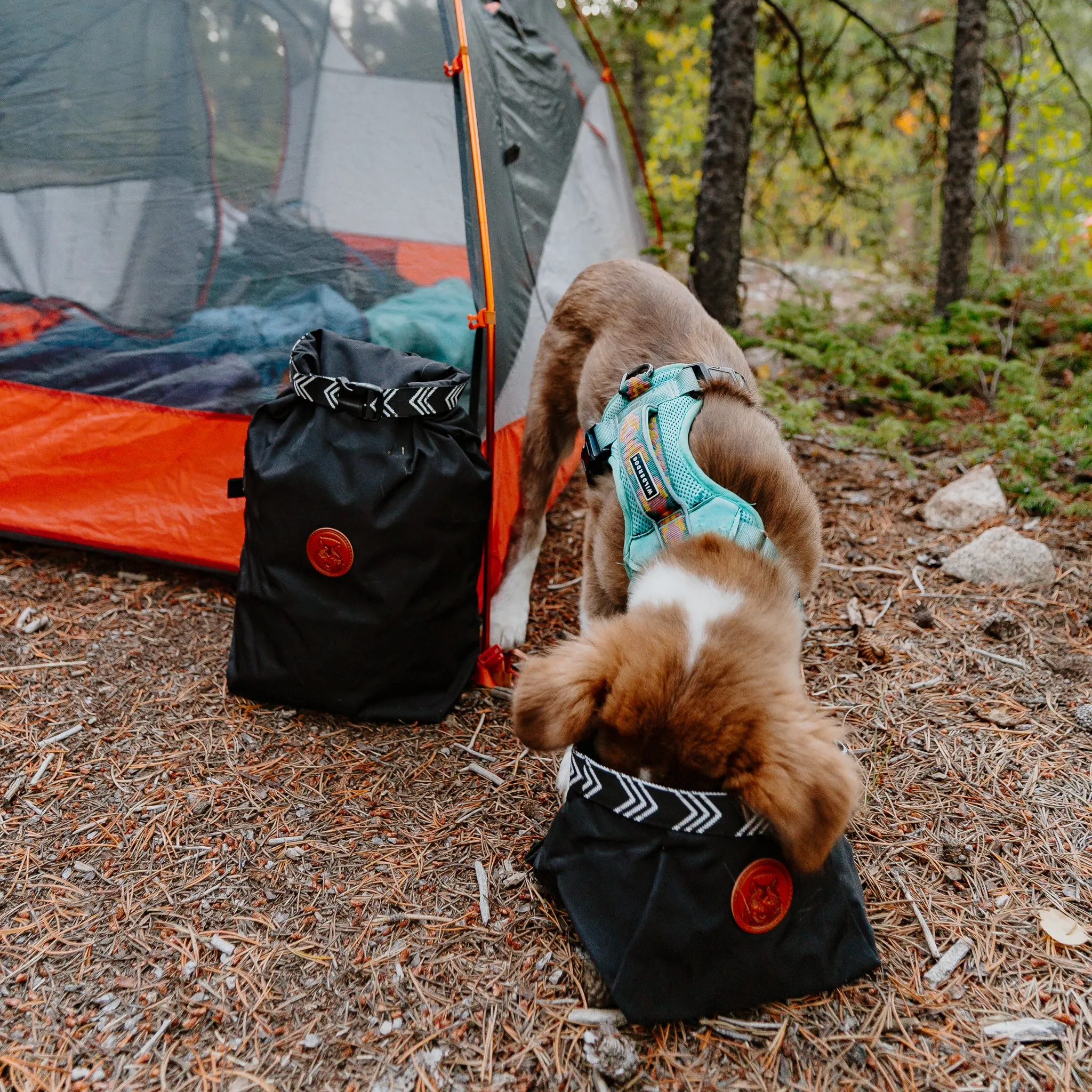 Backpacking Bowl