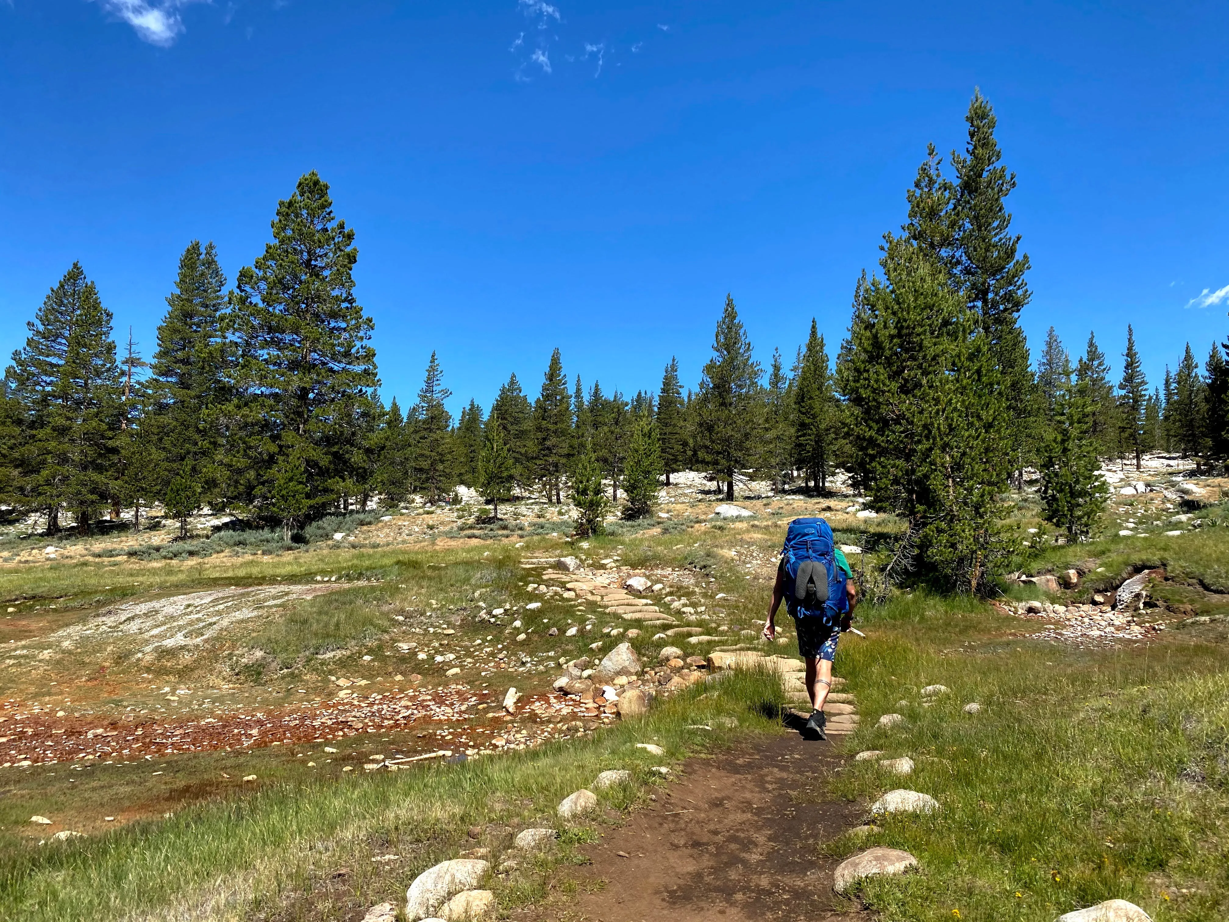 Backpacking Yosemite: Glen Aulin Pass Thru