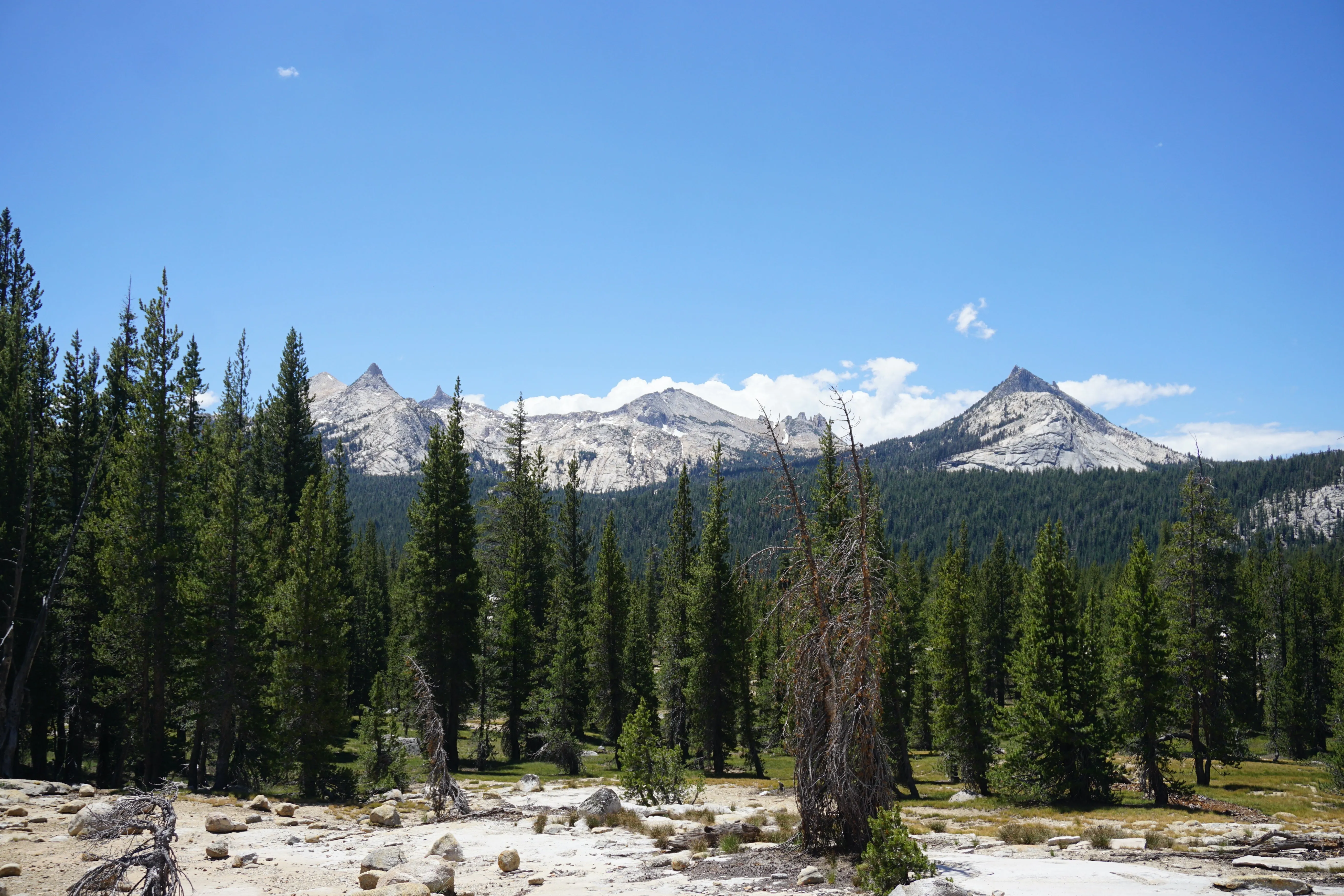 Backpacking Yosemite: Glen Aulin Pass Thru