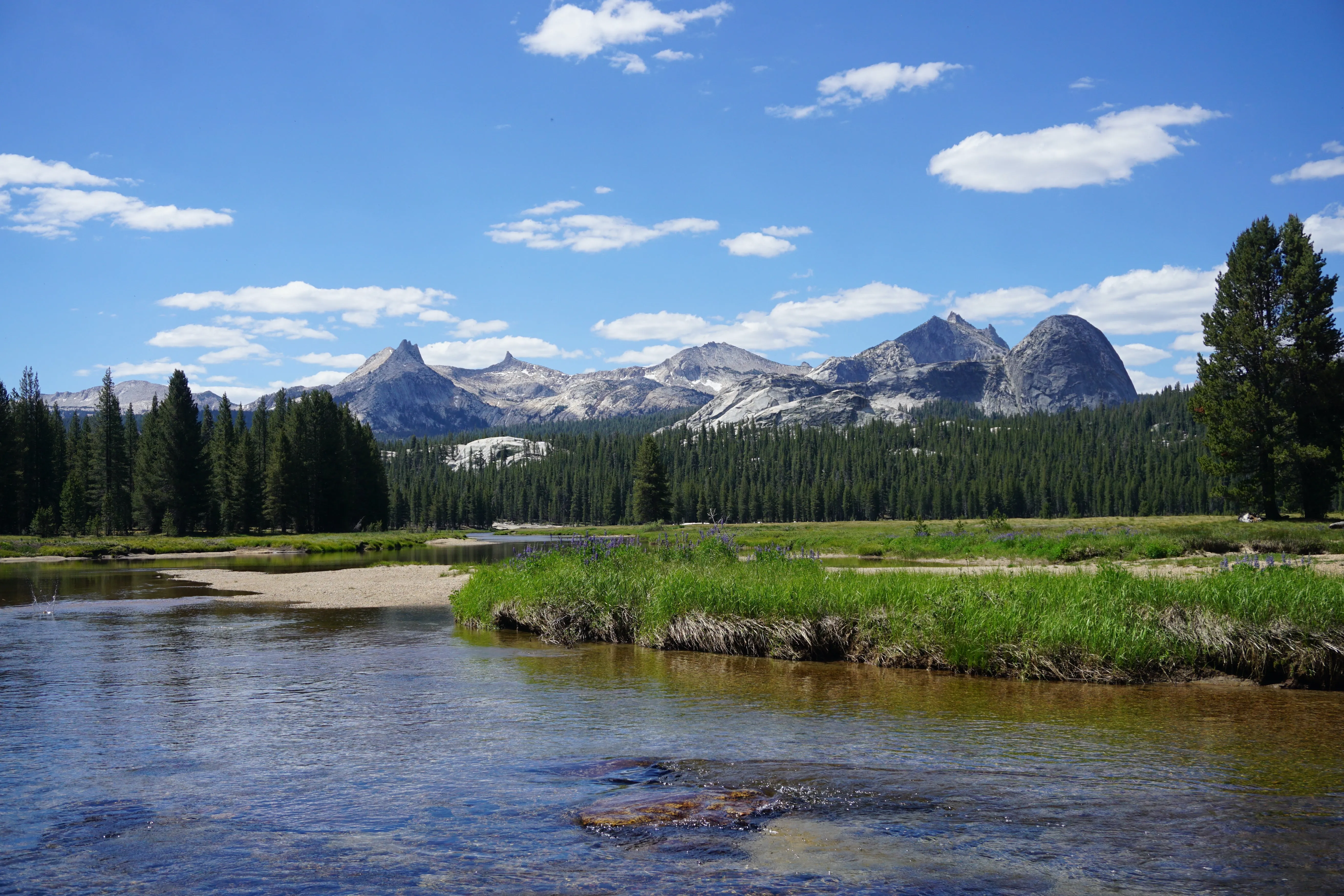 Backpacking Yosemite: Glen Aulin Pass Thru