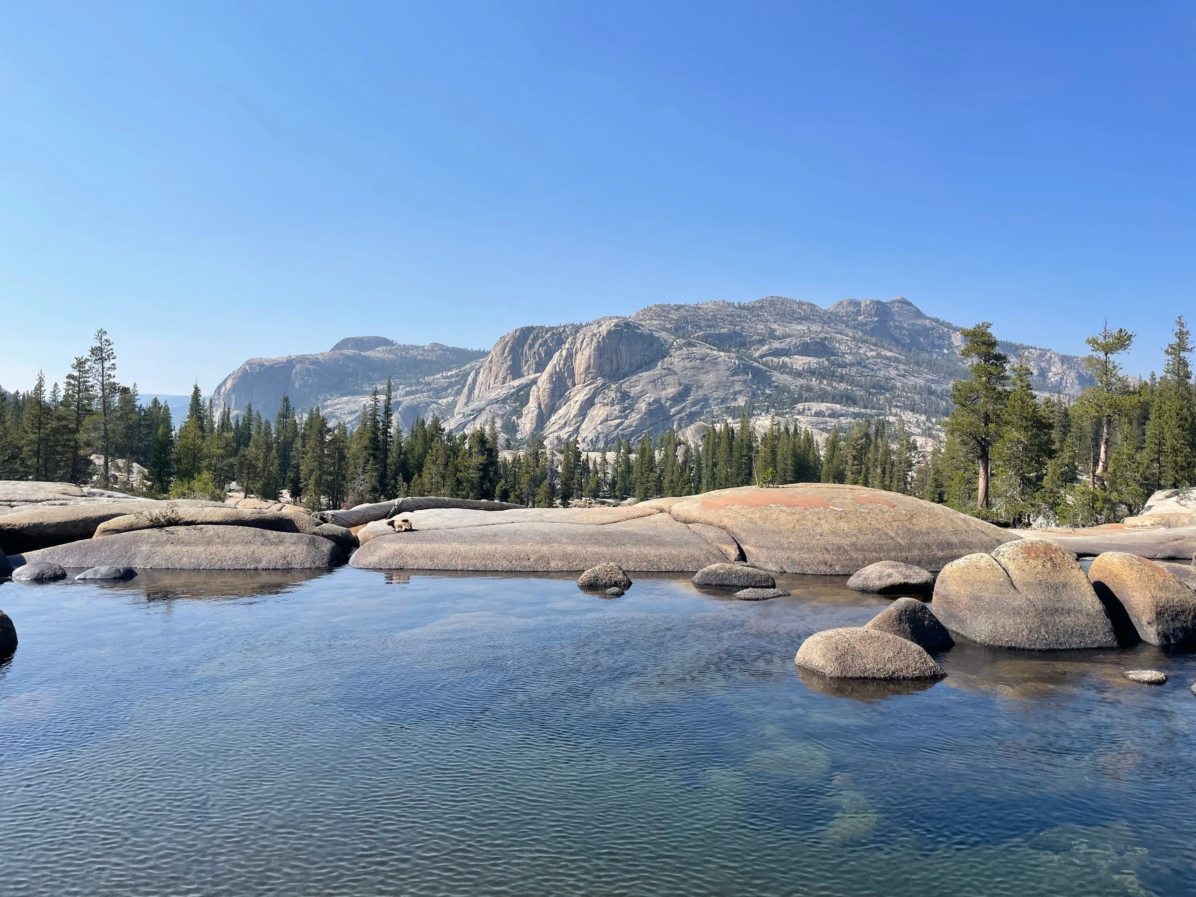 Backpacking Yosemite: Glen Aulin Pass Thru