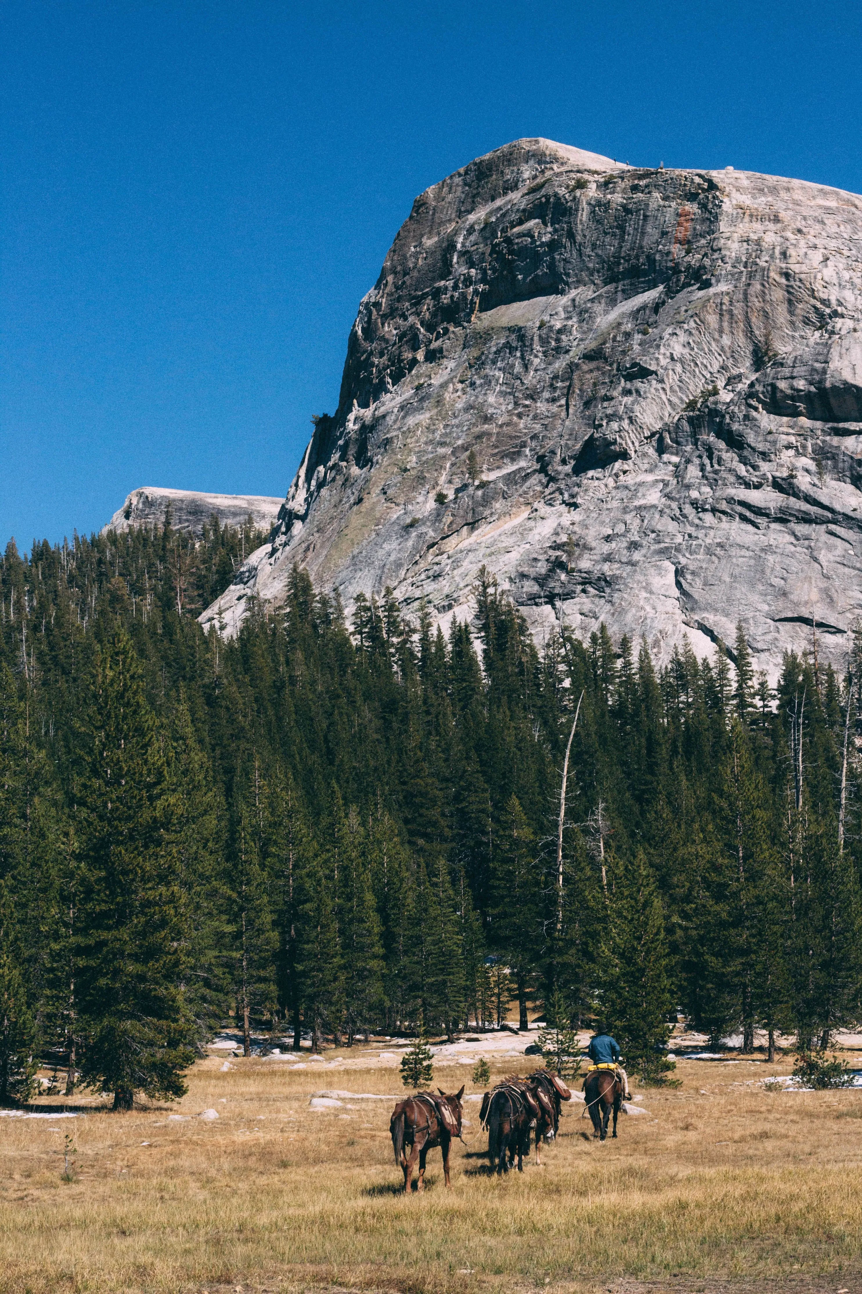 Backpacking Yosemite: Glen Aulin Pass Thru