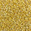 Harmony House Freeze Dried Super Sweet Corn (8 oz)