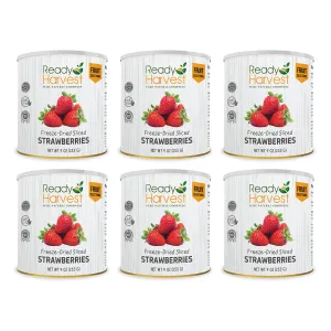 Ready Harvest Freeze-Dried Strawberries - 30 Year Shelf Life - Six #10 Cans